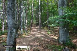 2022-08-20 - ART_5270